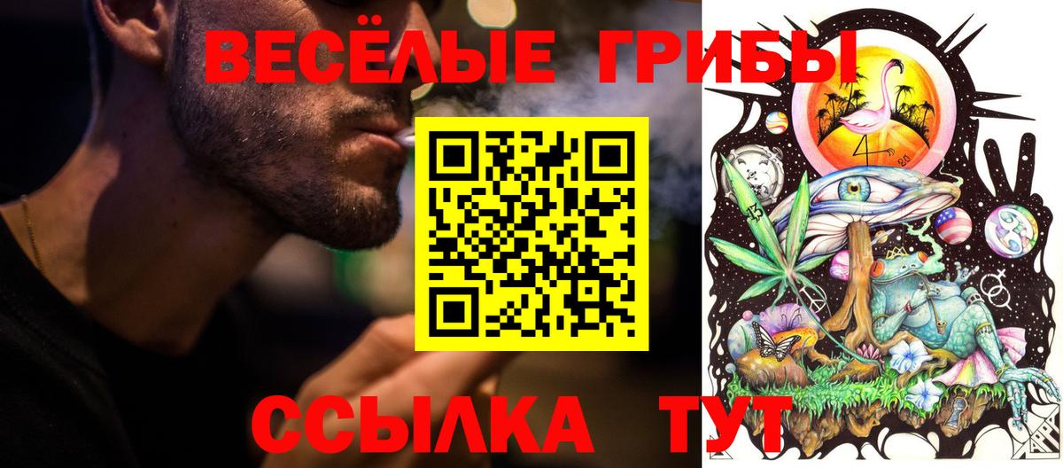 Псилоцибиновые грибы GOLDEN TEACHER Знаменск